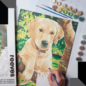 Paint by Numbers Activity Kits