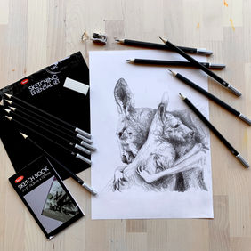 Sketching & Drawing Pencils
