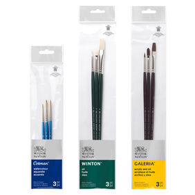 Winsor & Newton Brush Sets