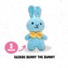 Benny The Bunny