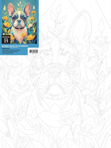 Byron Paint by Numbers Canvas Board