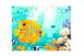 Reef