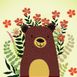 Hide n Seek Bear