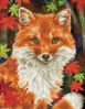 Foxy 45x35 cm