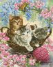 Kitty Knits 50x40 cm