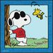 Peanuts Joe Cool