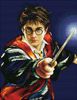 Harry Potter 46x36 cm