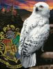 Hedwig 46x36 cm