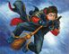 Harry Potter At Quidditch 36x46 cm