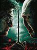 Harry And Voldemort 61x46 cm