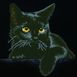 Midnight Cat 28x35cm