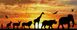 African Sky 36x80cm