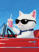 Convertible Cat 20x15cm