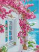 Bougainvillea 30x40cm