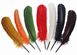 Quill Pen (Assorted Colours) N4501