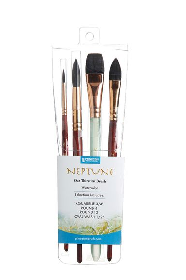 Princeton Neptune Professional 4 Piece Set